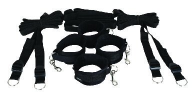 ball gag training system